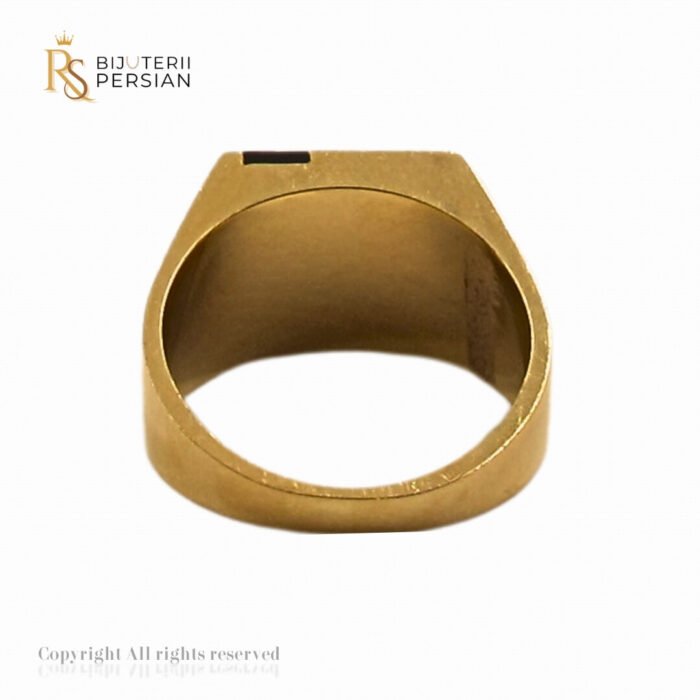 Inel bărbătesc Regal din aur galben cu email colorat și pietre zirconiu