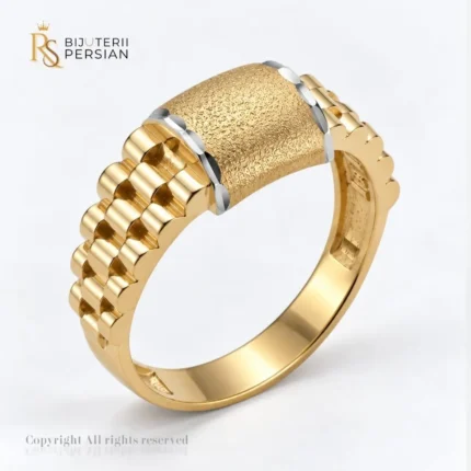Ghiul din aur bicolor 14K pentru bărbați fără pietre cu platou mat și umeri în stil brățară Rolex Bijuterii Persian