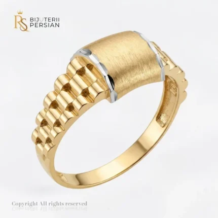 Ghiul din aur bicolor 14K pentru bărbați fără pietre cu platou mat și umeri în stil brățară Rolex Bijuterii Persian